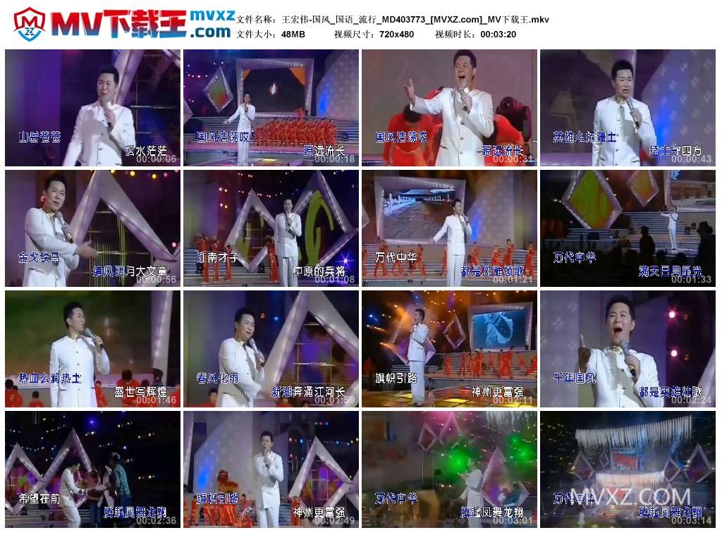 王宏伟-国风_国语_流行_MD403773